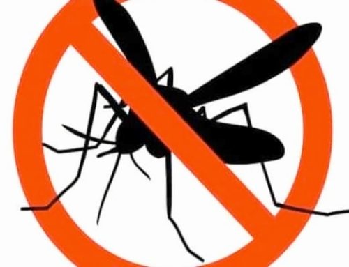 Anunț aplicare tratamente pentru combaterea insectelor – 30.07.2026