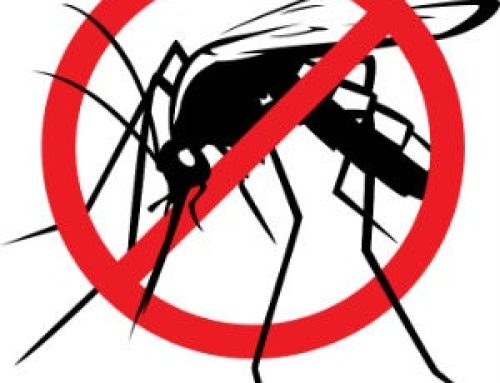Anunț aplicare tratamente pentru combaterea insectelor – 28.05.2026
