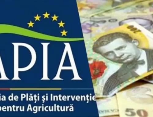 Informare: APIA primește cereri de ajutor de stat pentru sectorul suin